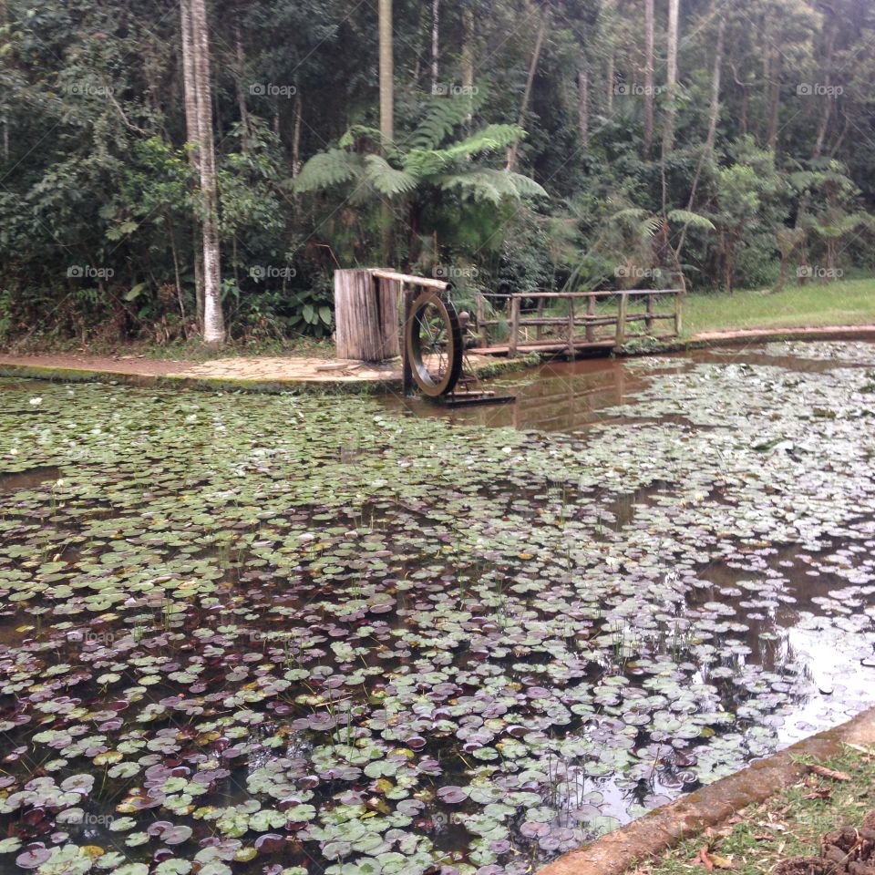 Water Mill. The São Paulo Botanical Garden