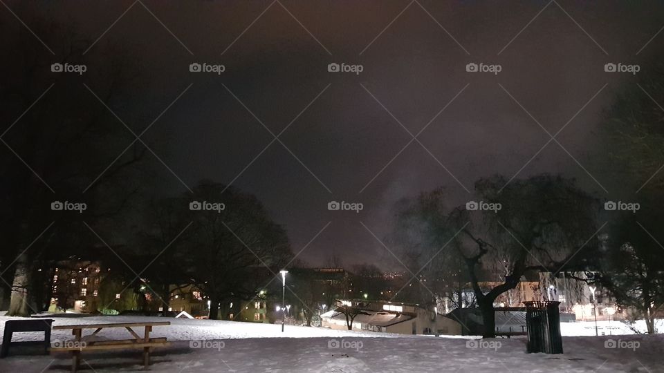 A park in Oslo'In'Norway