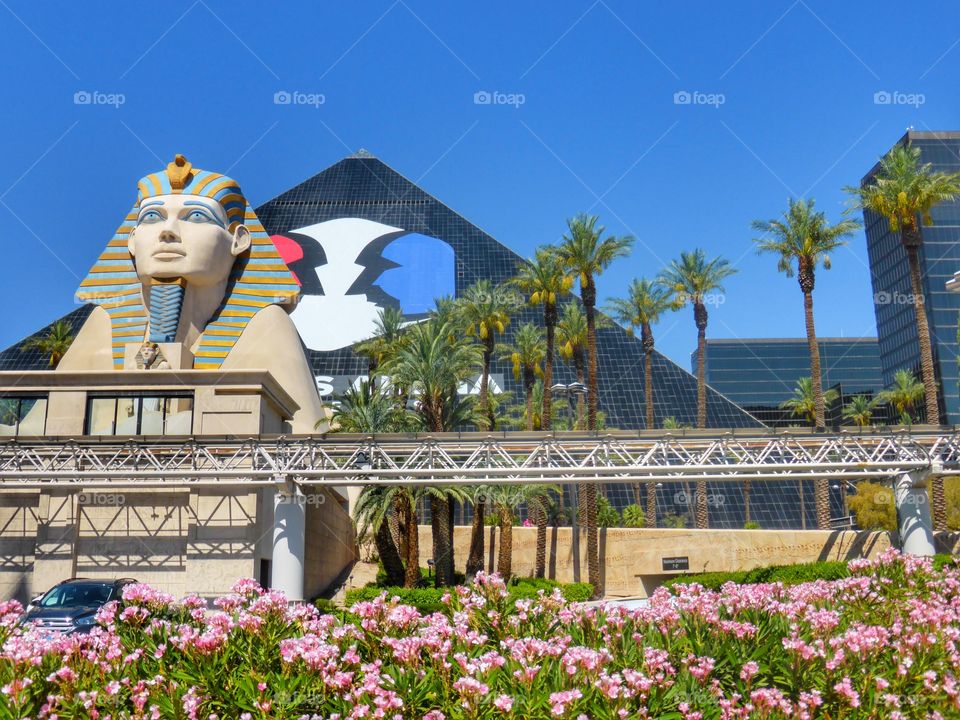 Luxor Las Vegas. luxor, travel, architecture, tourism, egypt, statue, vacation, vegas, gambling, nevada, valley, city, building, usa, nile, las, famous, pharaoh, strip, hotel, history, africa, tower, egyptian, sky, landmark, temple, sphinx,