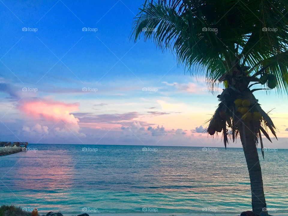 Ocean, palm trees, sunset, 