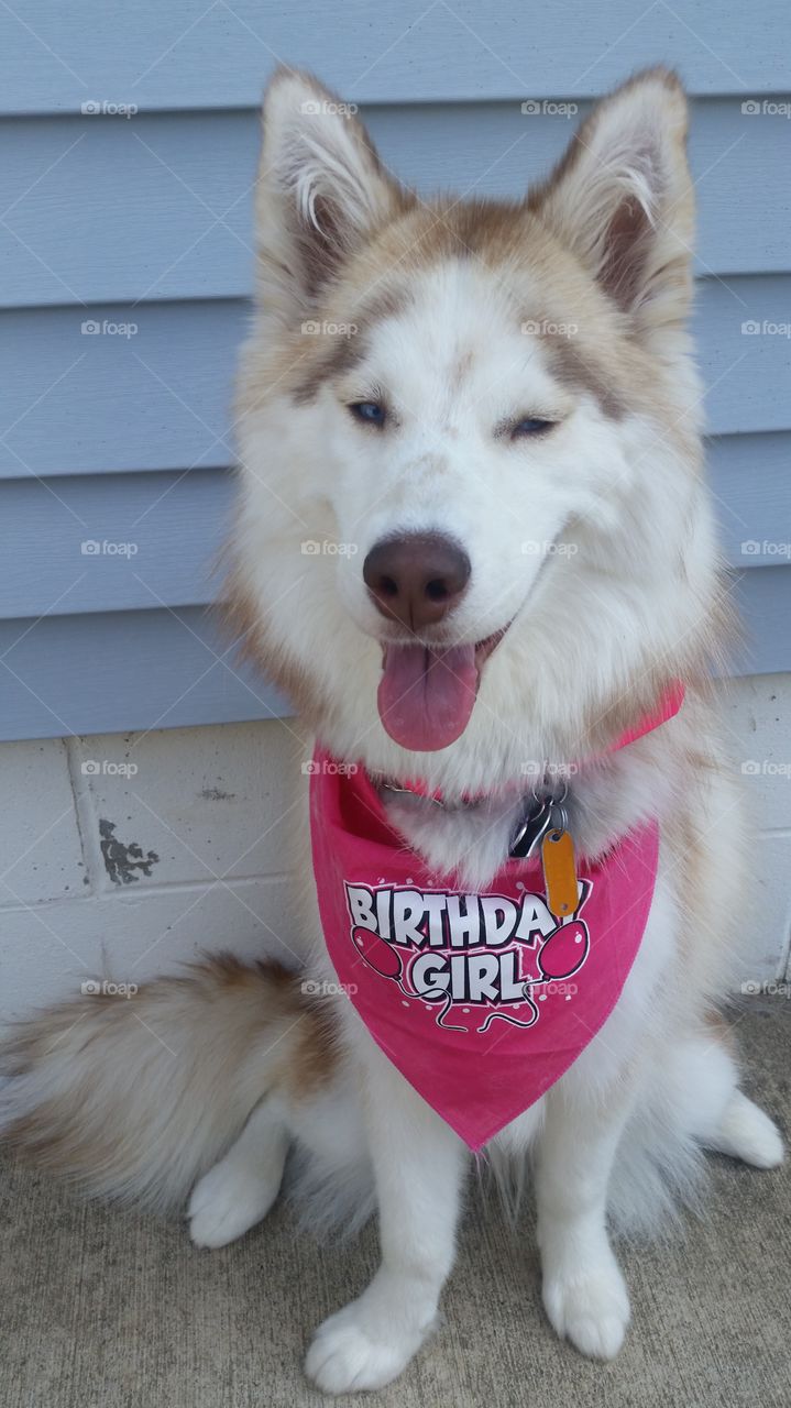 Skyla smiling for her 1st birthday pictures