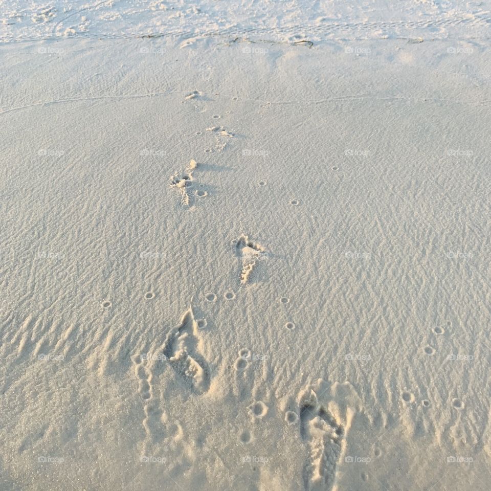 Baby Foot Prints in White Sand Beach on Emerald Coast