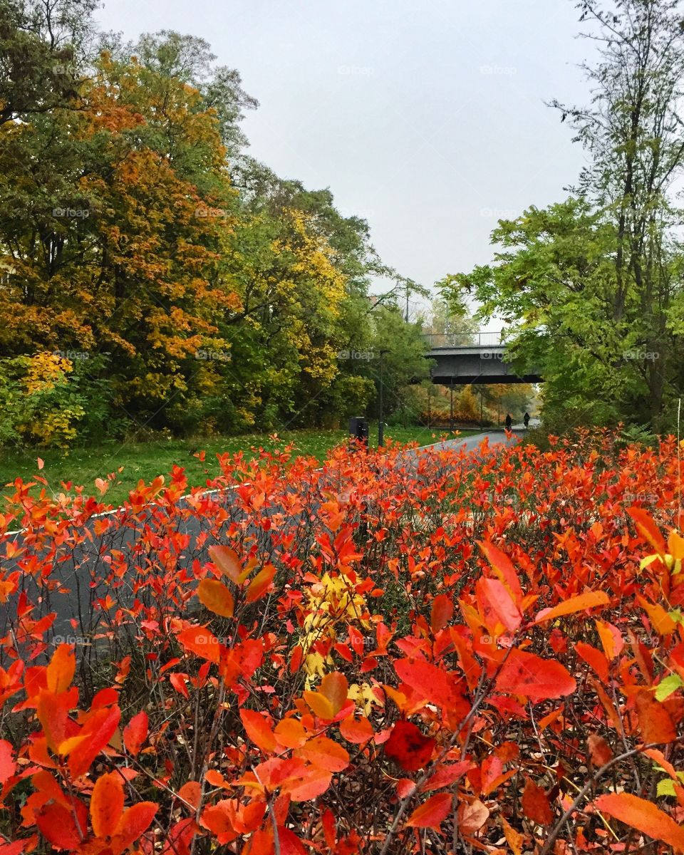 Berlin autumn