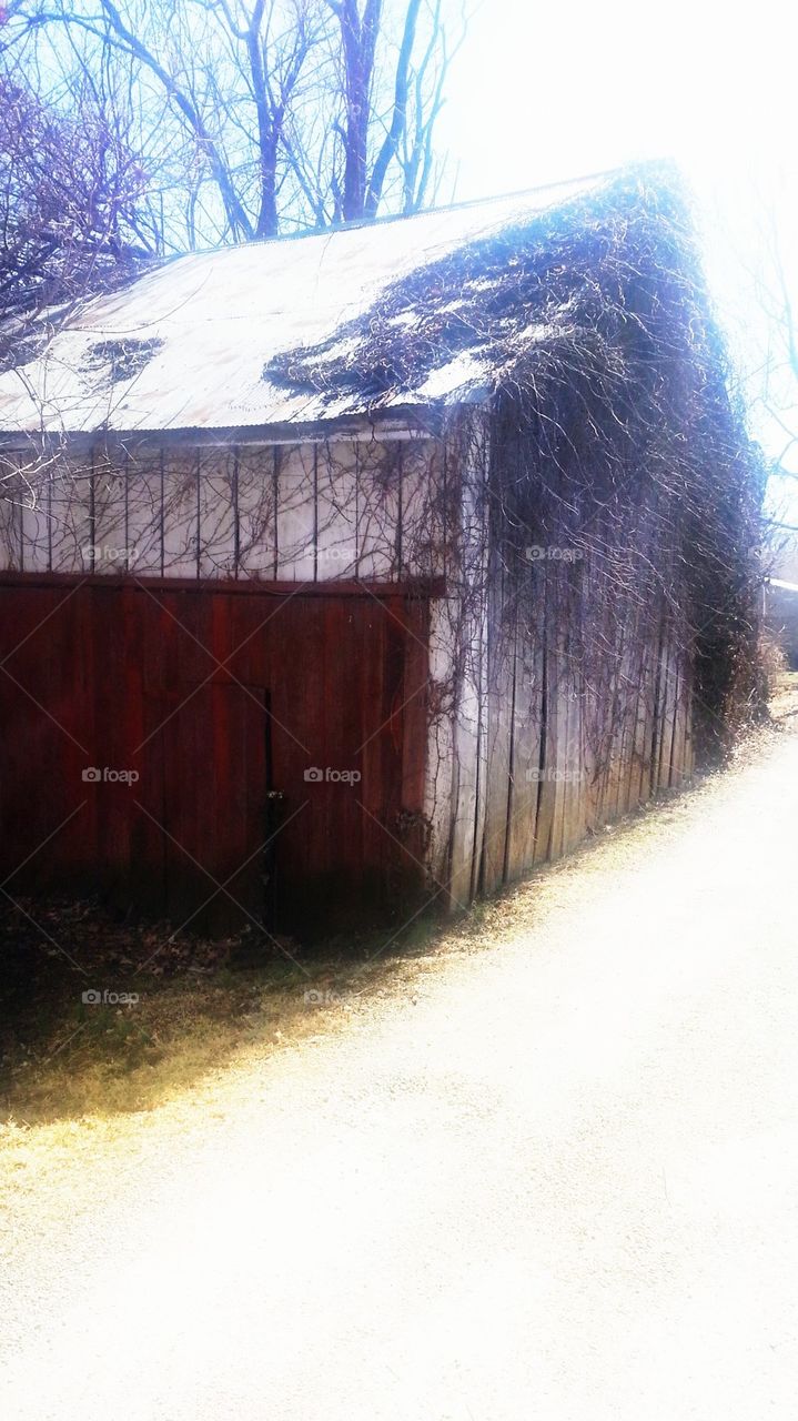 barn