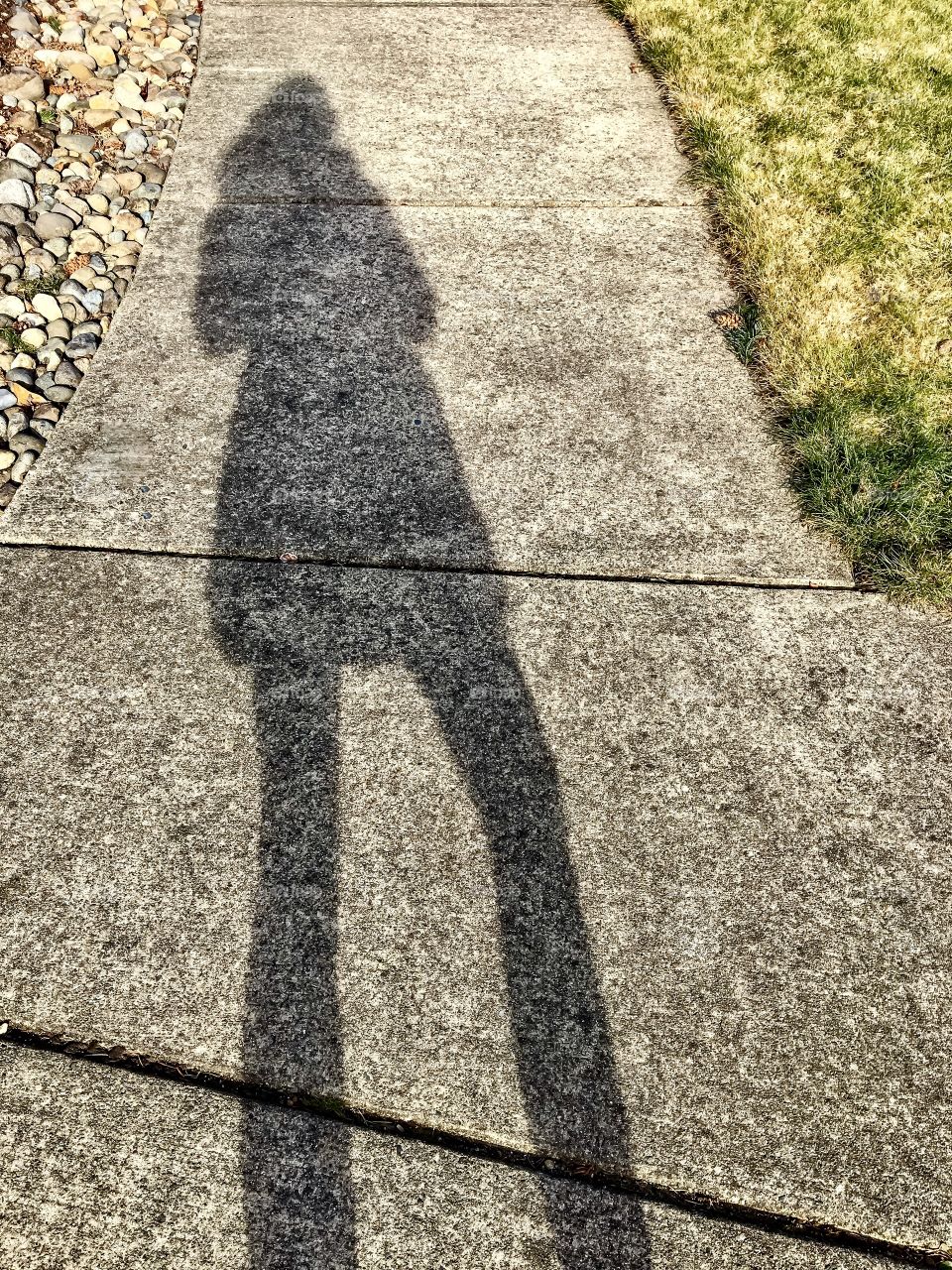 Long Shadow of Winter