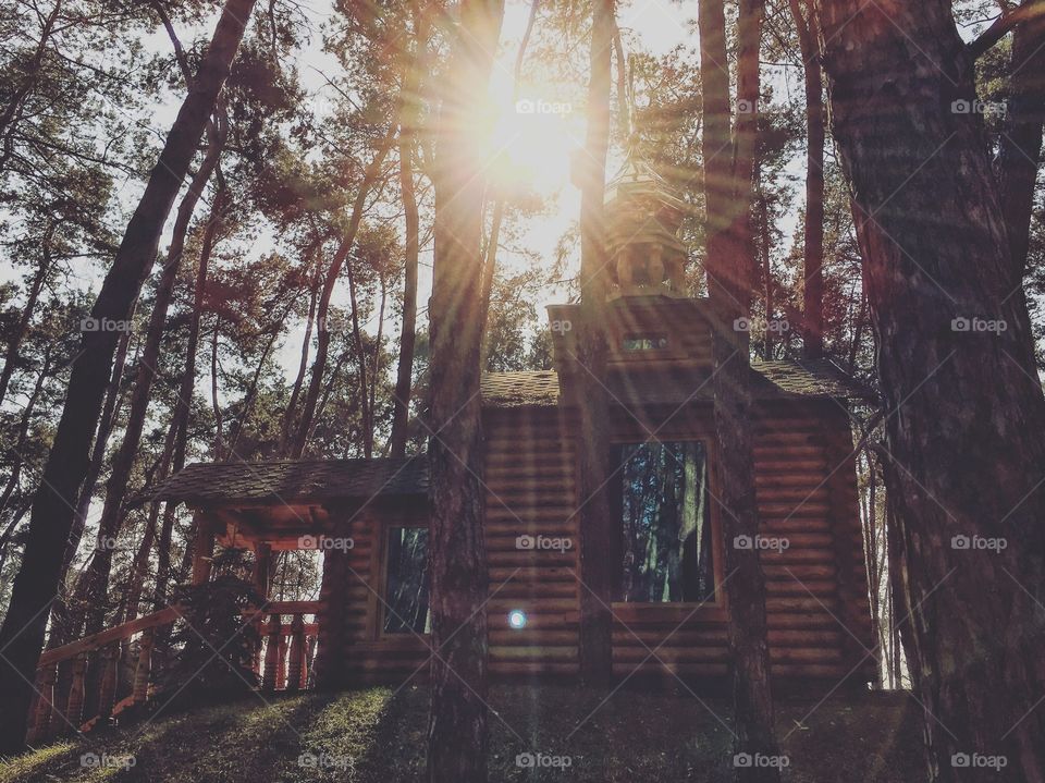 Church in the forest 