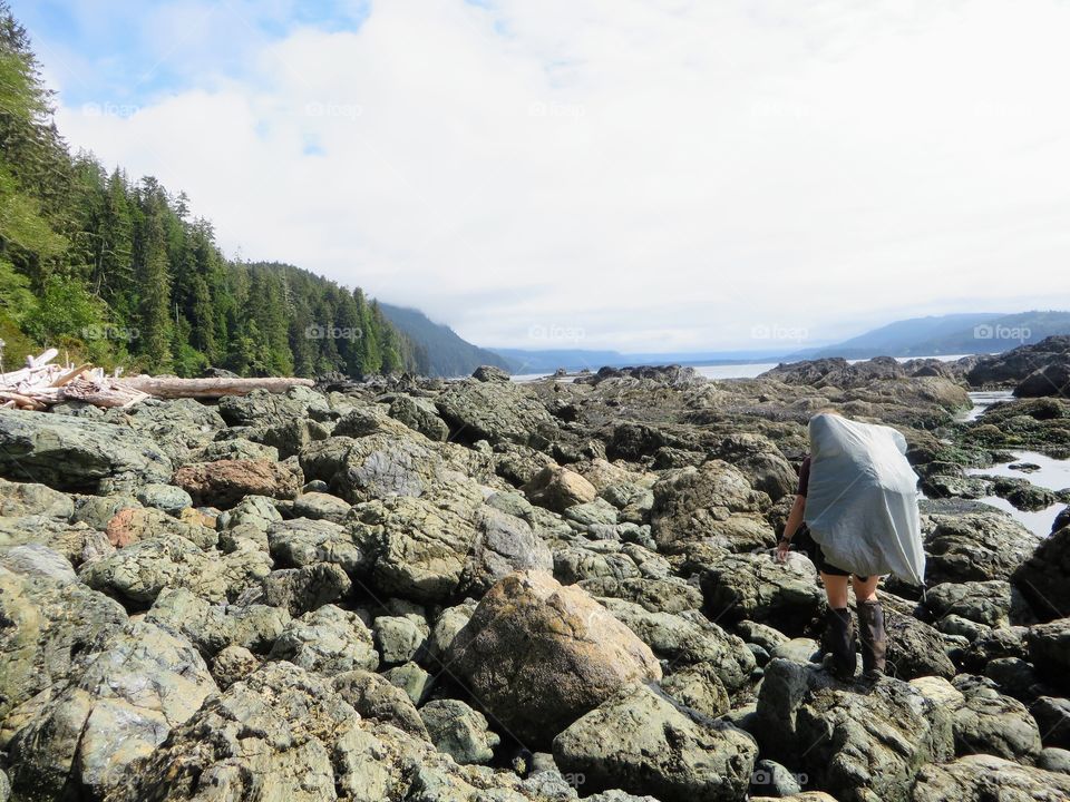 Hiking and camping along the west coast trail. Beach camping and lots of ladders!