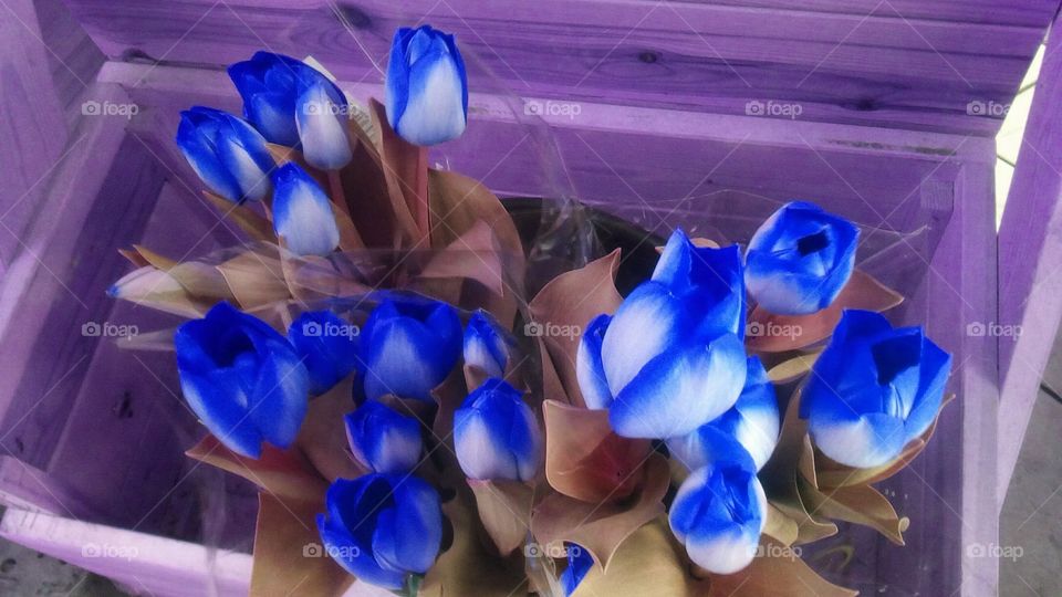 Bouquets of blue tulips in purple wooden 
large box#flower#art#artistic#gift#
fashion