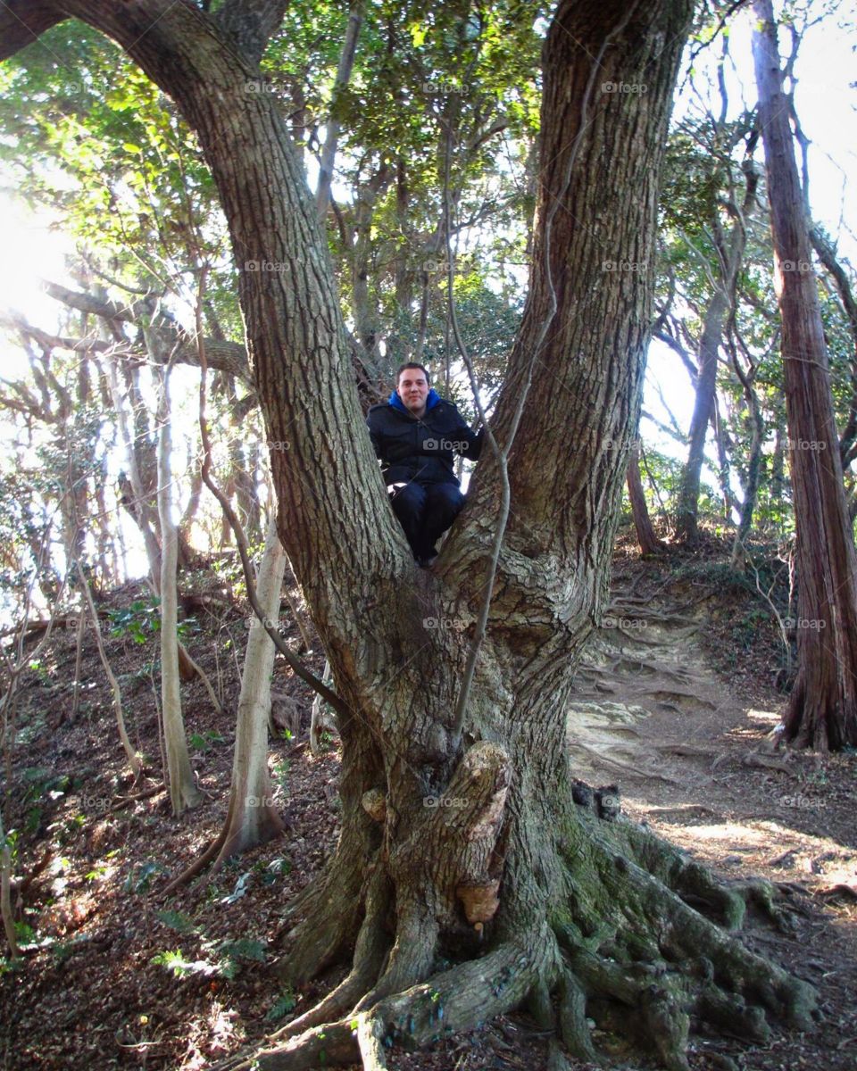 Hiking in kamakura, just outside of Tokyo my boyfriend started climbing trees :) 