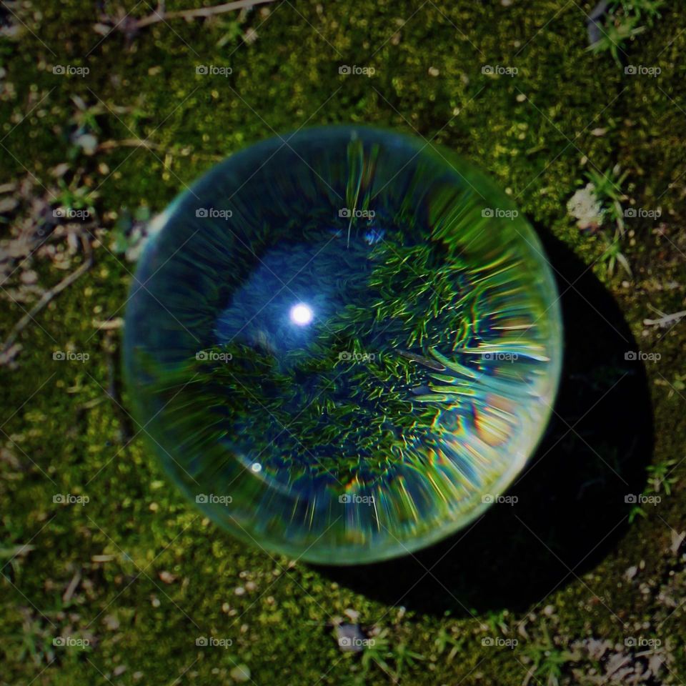 Magnified Green