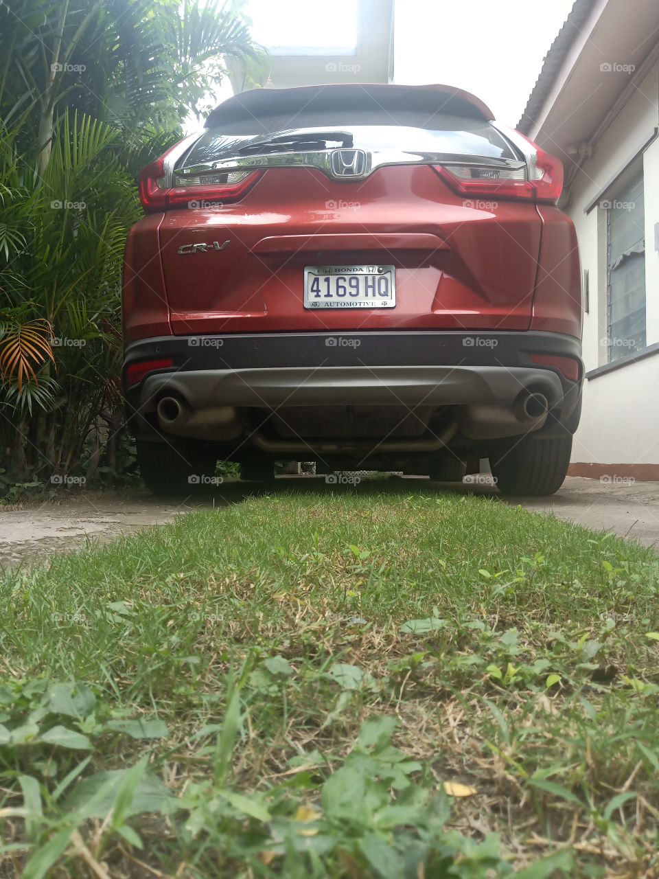 Honda rear