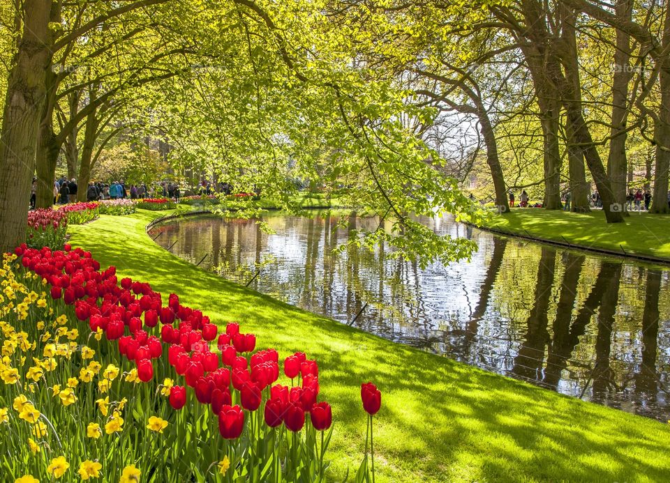 Keukenhof Gardens Lisse Netherlands 