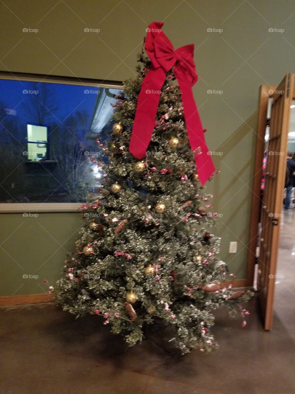 Christmas, Winter, Christmas Tree, No Person, Interior Design