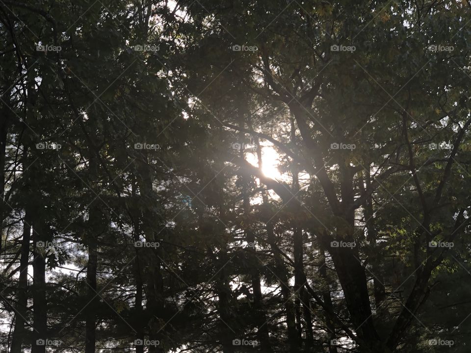 Falltime scenery in Connecticut