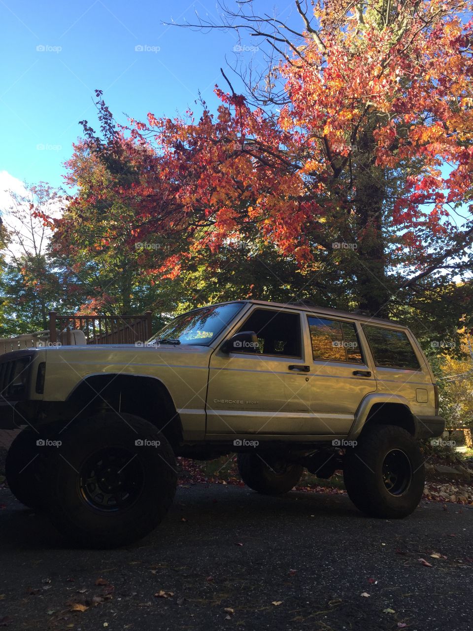 Jeep in the fall