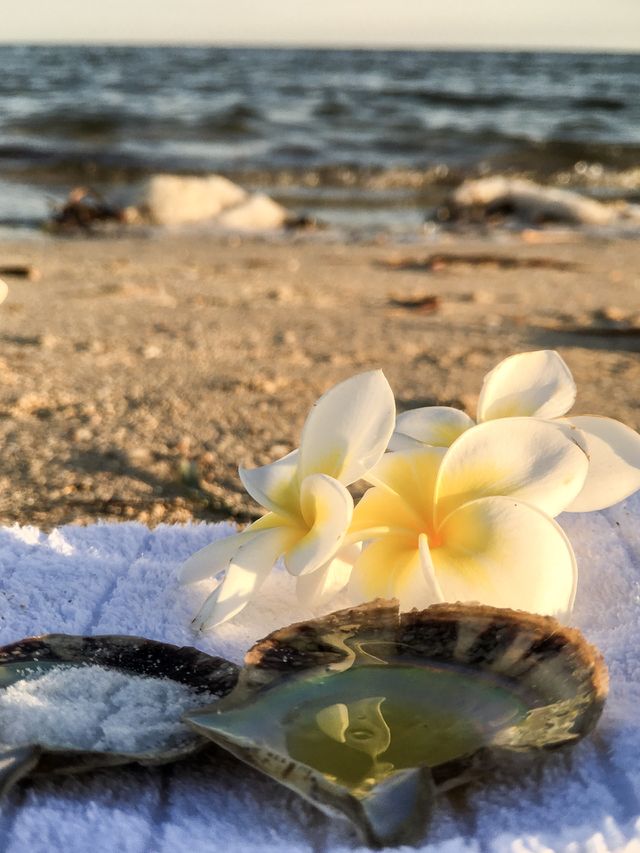 Frangipani oil infused olive oil and sea salt facial mask masque 