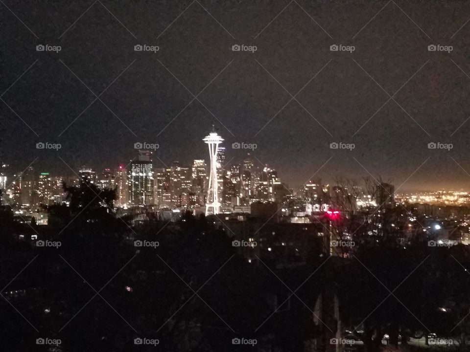 beautiful Seattle skyline.