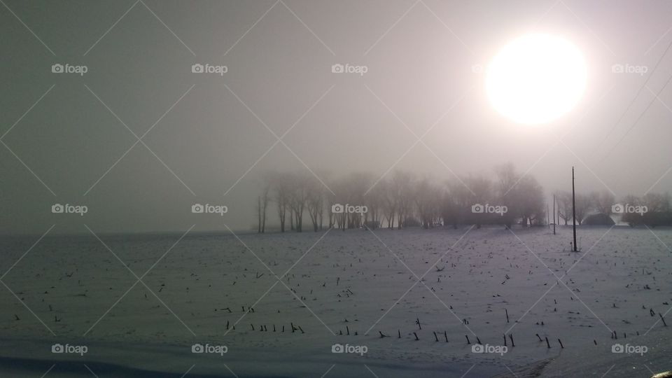 Winter, Fog, Snow, Dawn, Mist