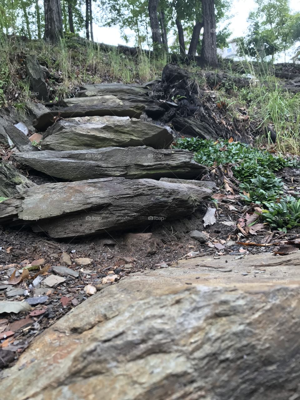 Stone stairs
