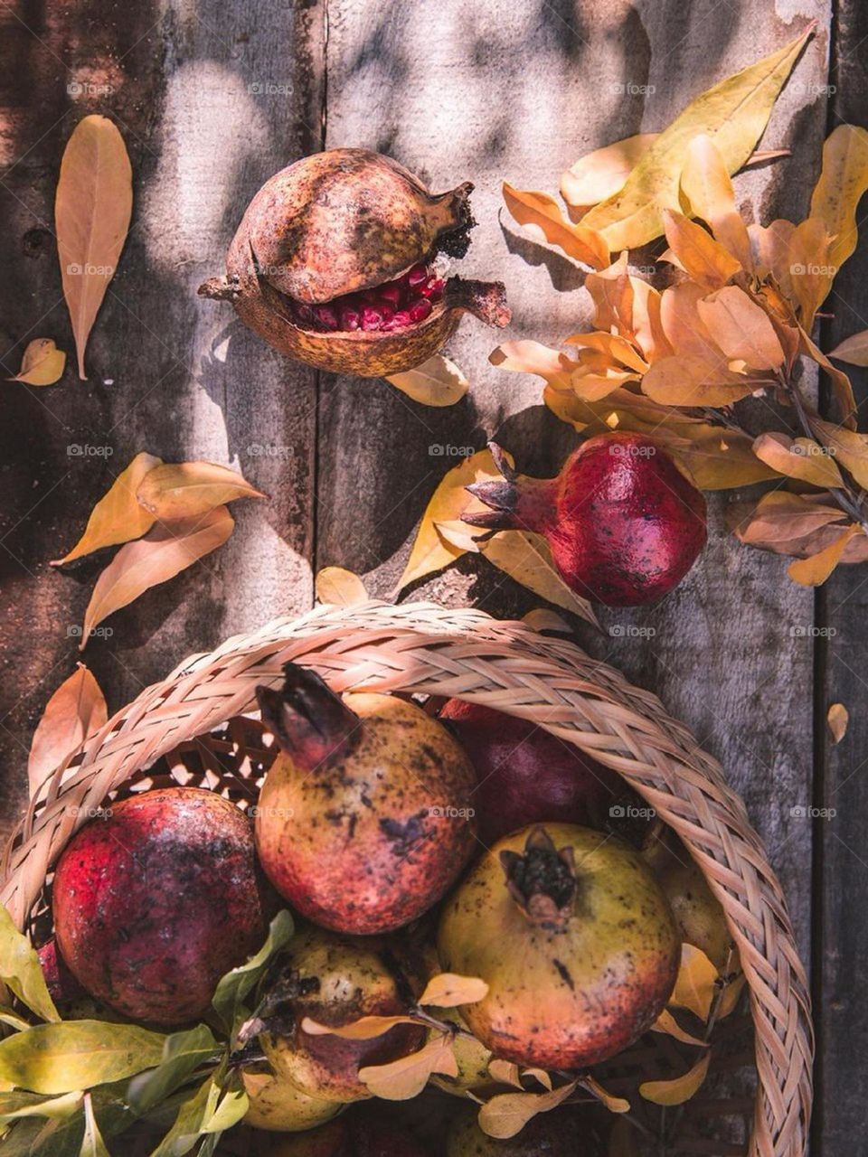 All the colors of the Fall, from orange and yellow leaves to juicy red pomegranates, are warm, energizing and beautiful...