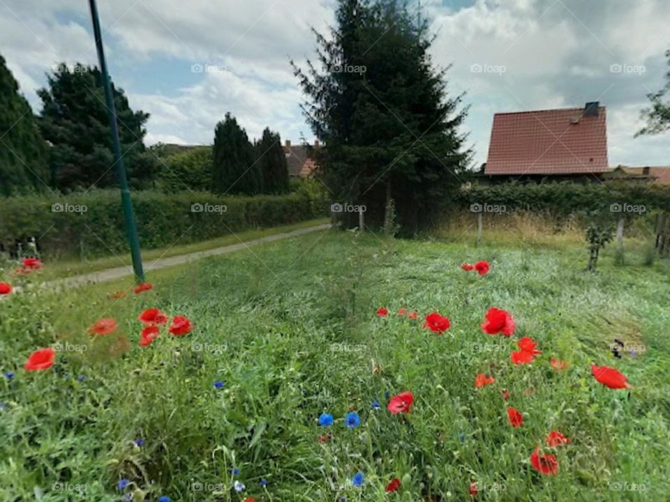 Beautiful place in Germany Athenstedt