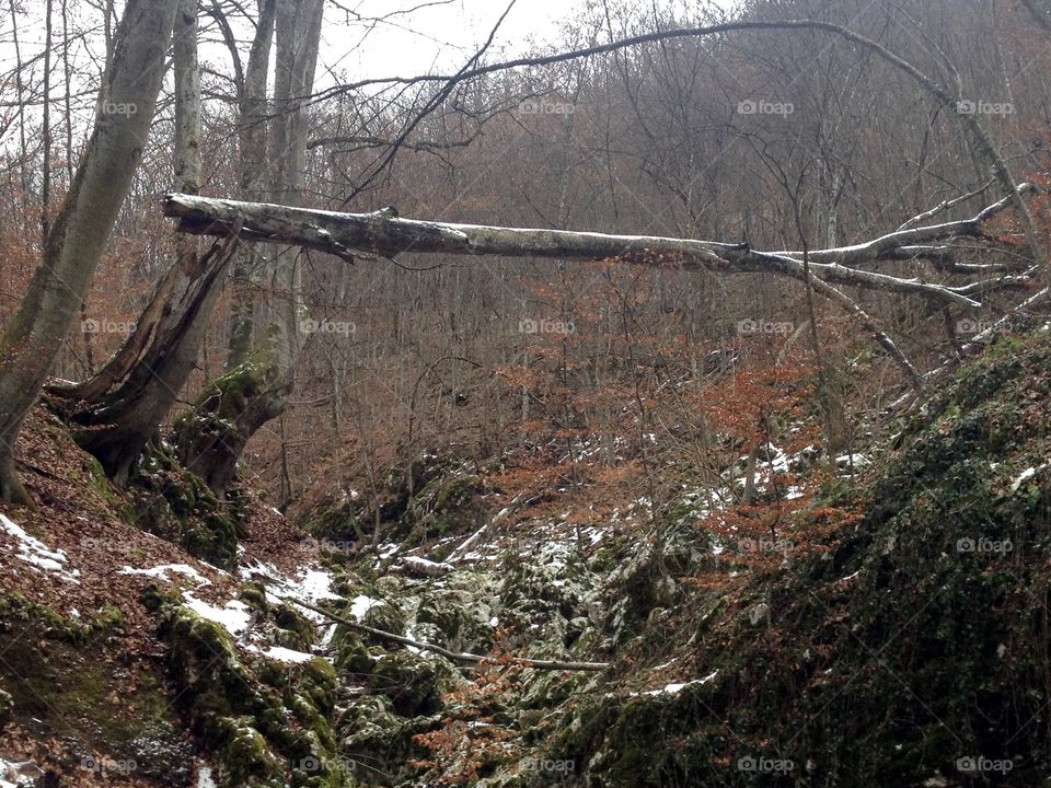 When nature starts to build