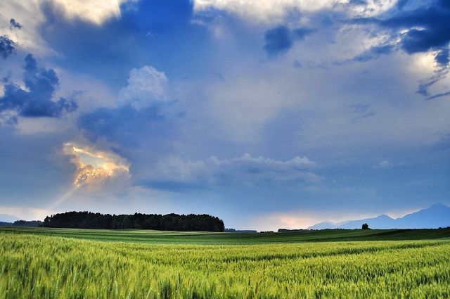 Storm is comming