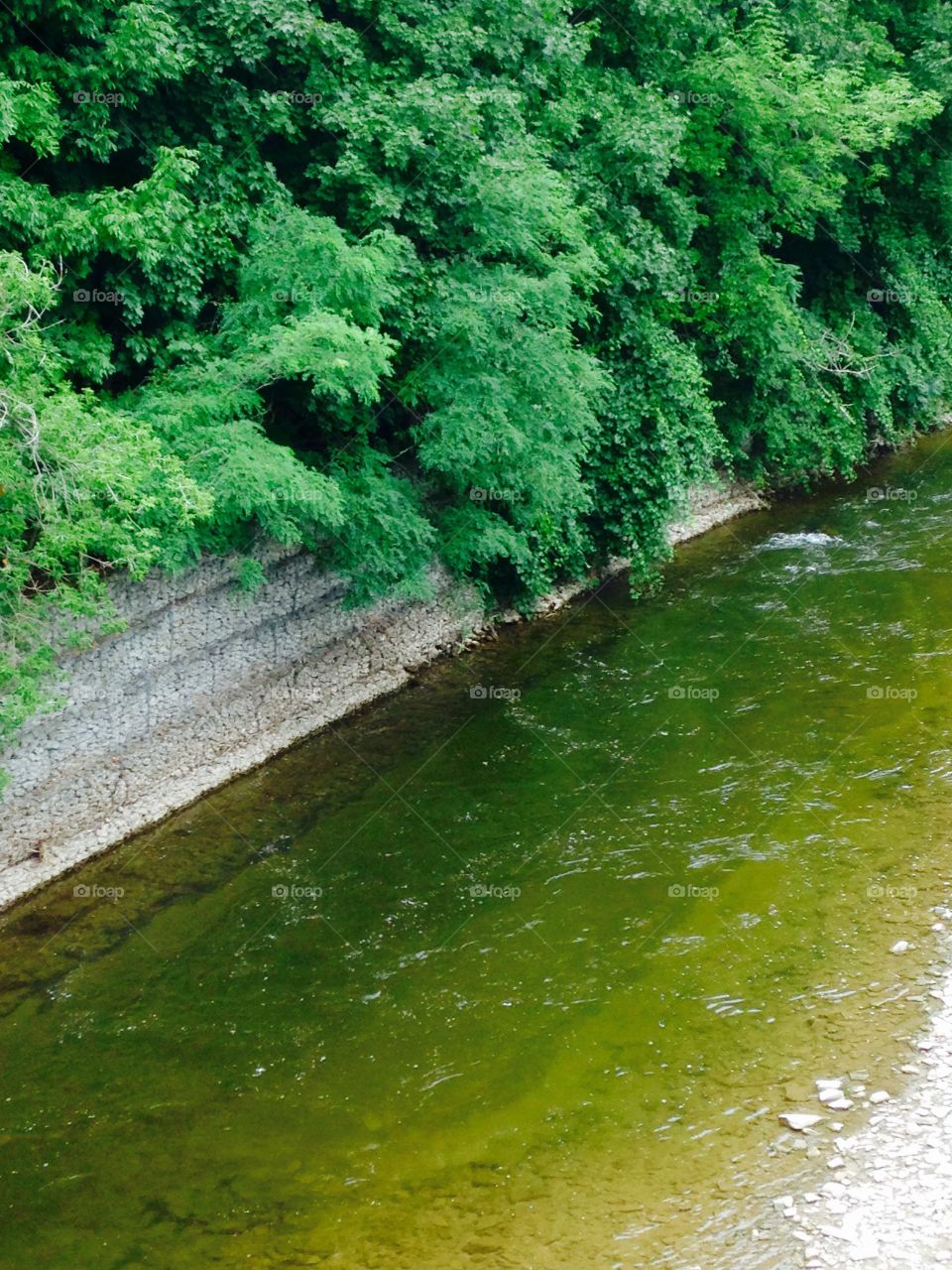 The water ain't really green