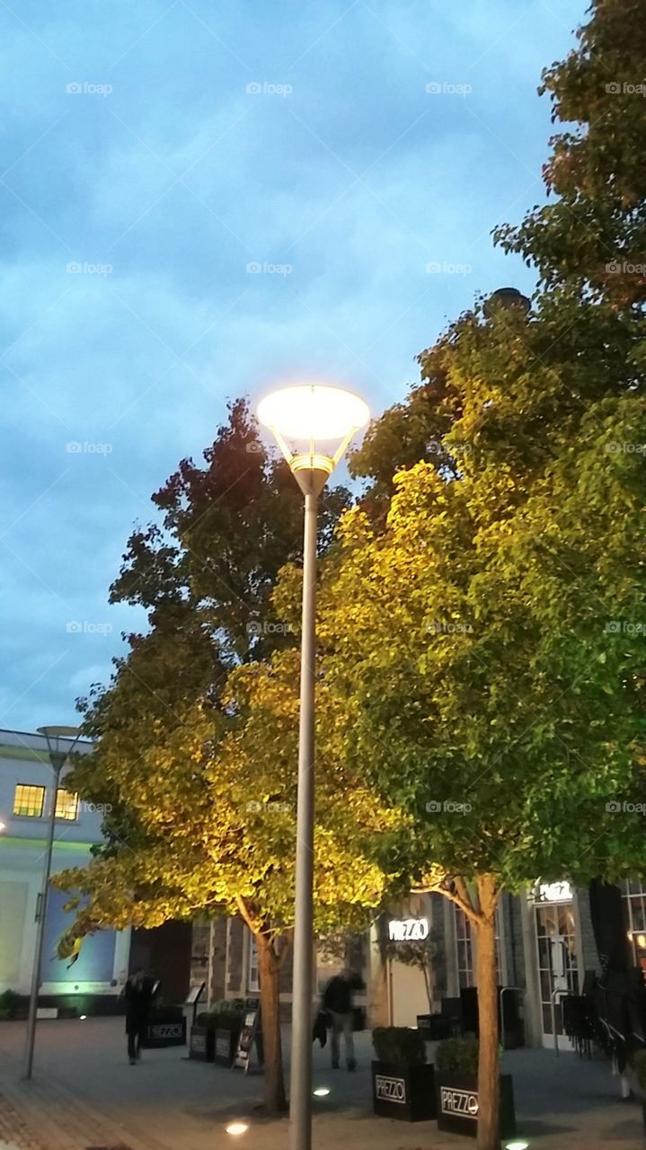 City Street Light
