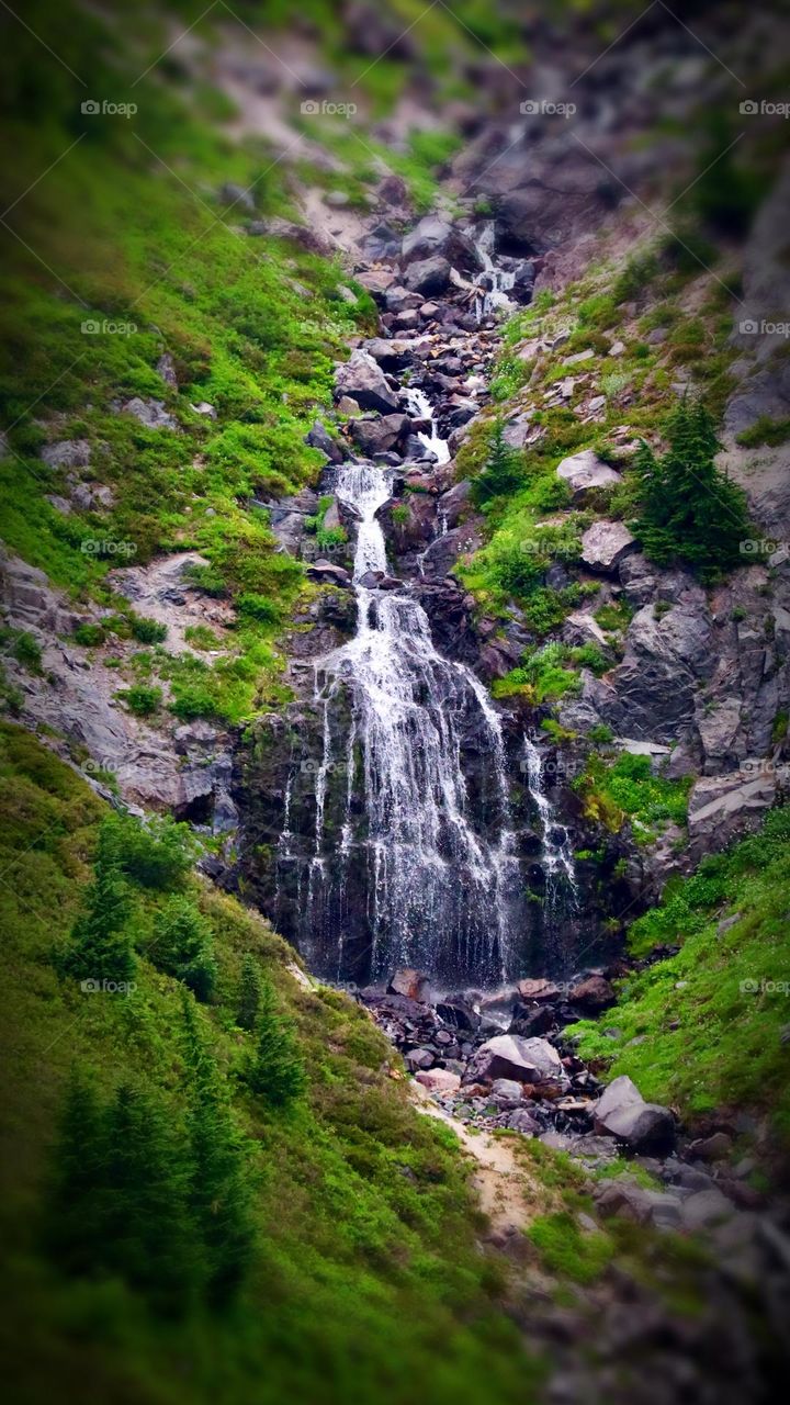 Small waterfalls abound in Mount Rainier National Park, with lush green views along the way to Paradise near the base of Mount Rainier 