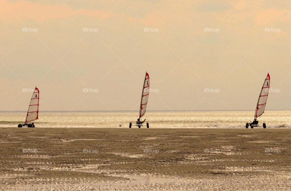 sailing in sunset