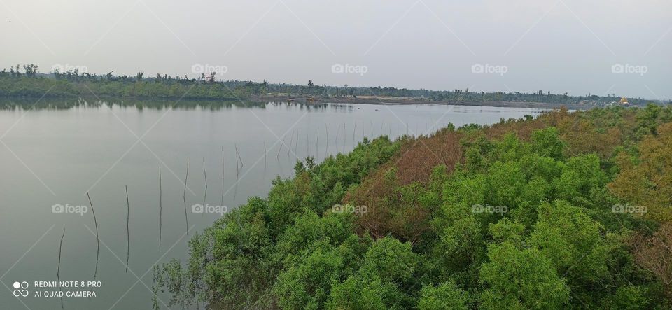 Nature of Sundarbans