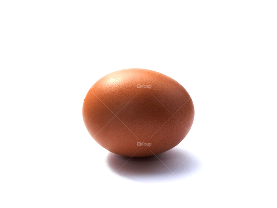 one egg on isolated