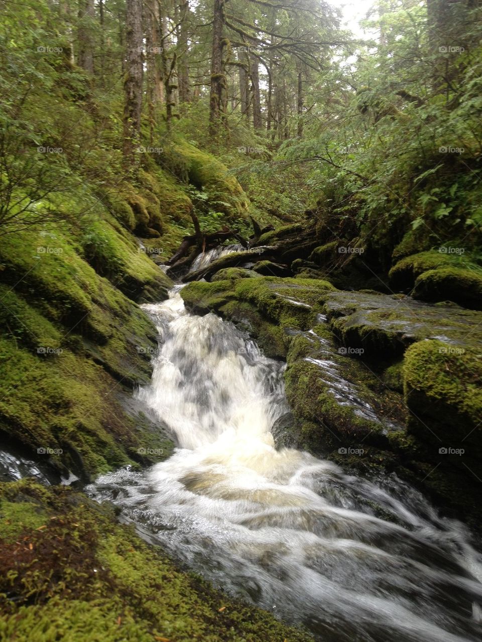 Stream waterfall 