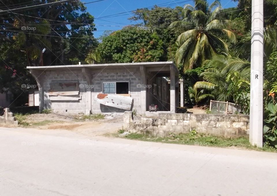 Photo from moving car traveling in Roatan, Honduras