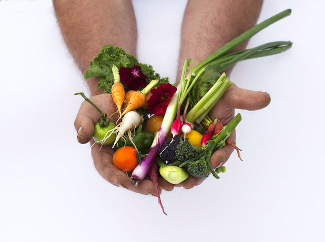 vegetables organic farmer far by breenster