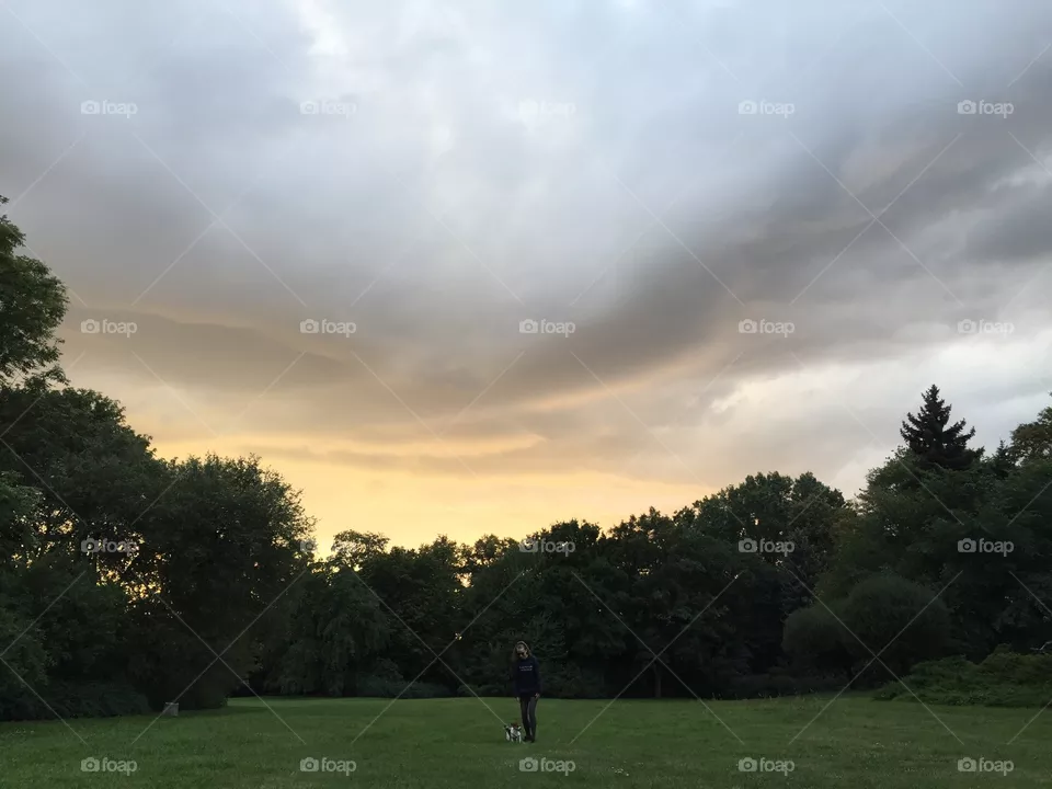 Landscape, Tree, Golf, No Person, Daylight
