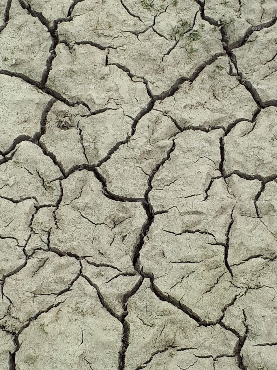 Drought conditions in Northern Australia