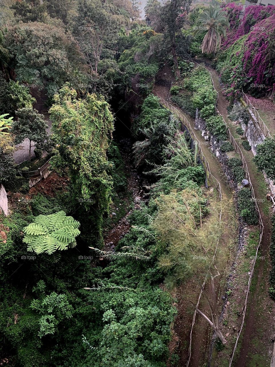 Landscape from above 