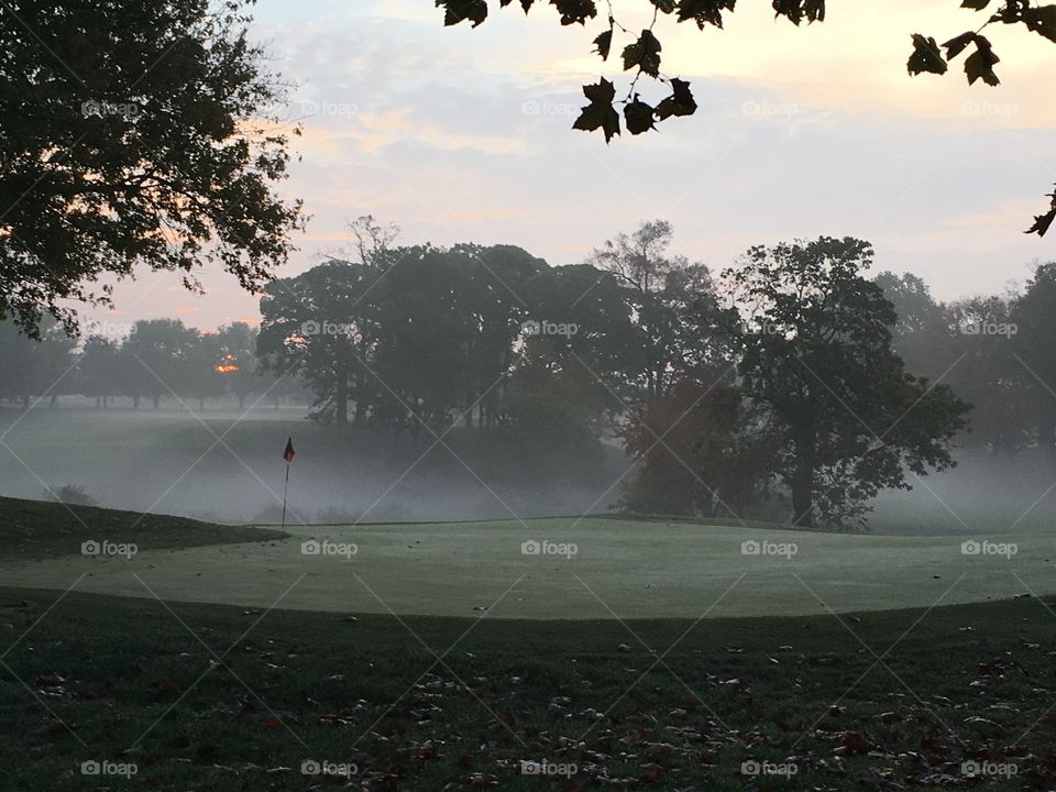 Foggy morning on Valleybrook golf course