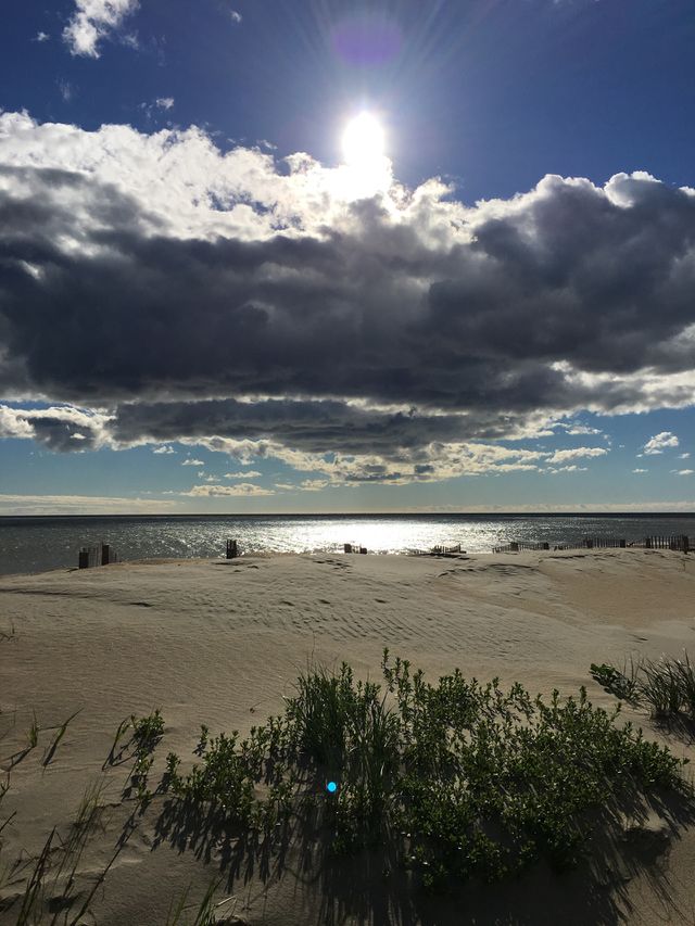 Sun rising over the ocean dunes. 