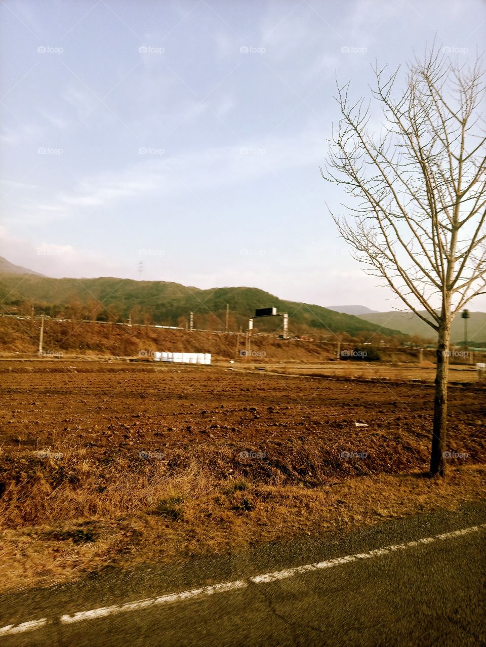 Winter Season in South Korea where all the crops in the farm are all dead and gone.