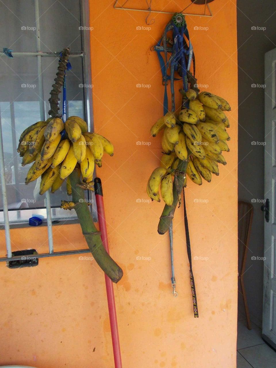 bananas and orange