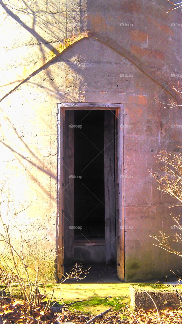 Door, House, Window, Abandoned, Wood