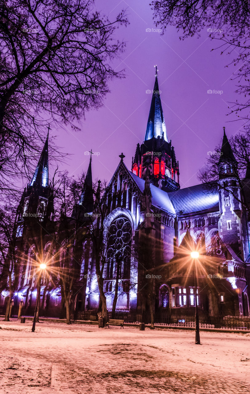 St. Olga and Elizabeth cathedral in Lviv city