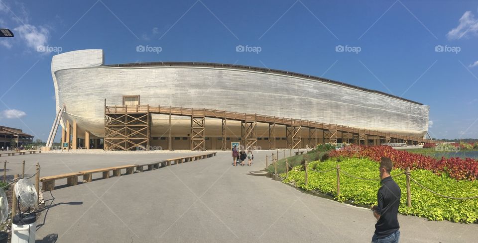 Noah's ark 