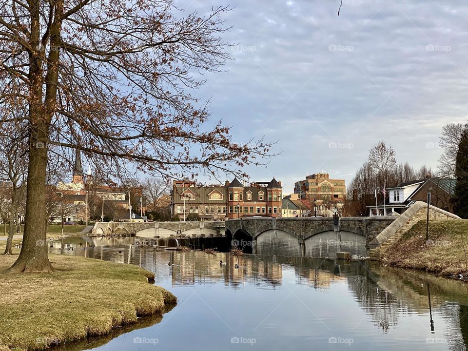 A creek and buildings in a local park