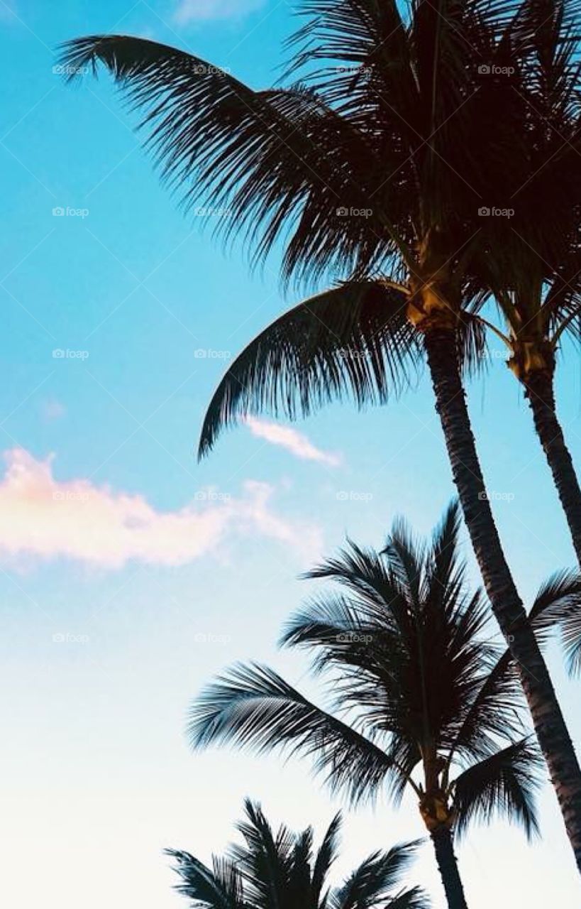 Can life get any better ? 