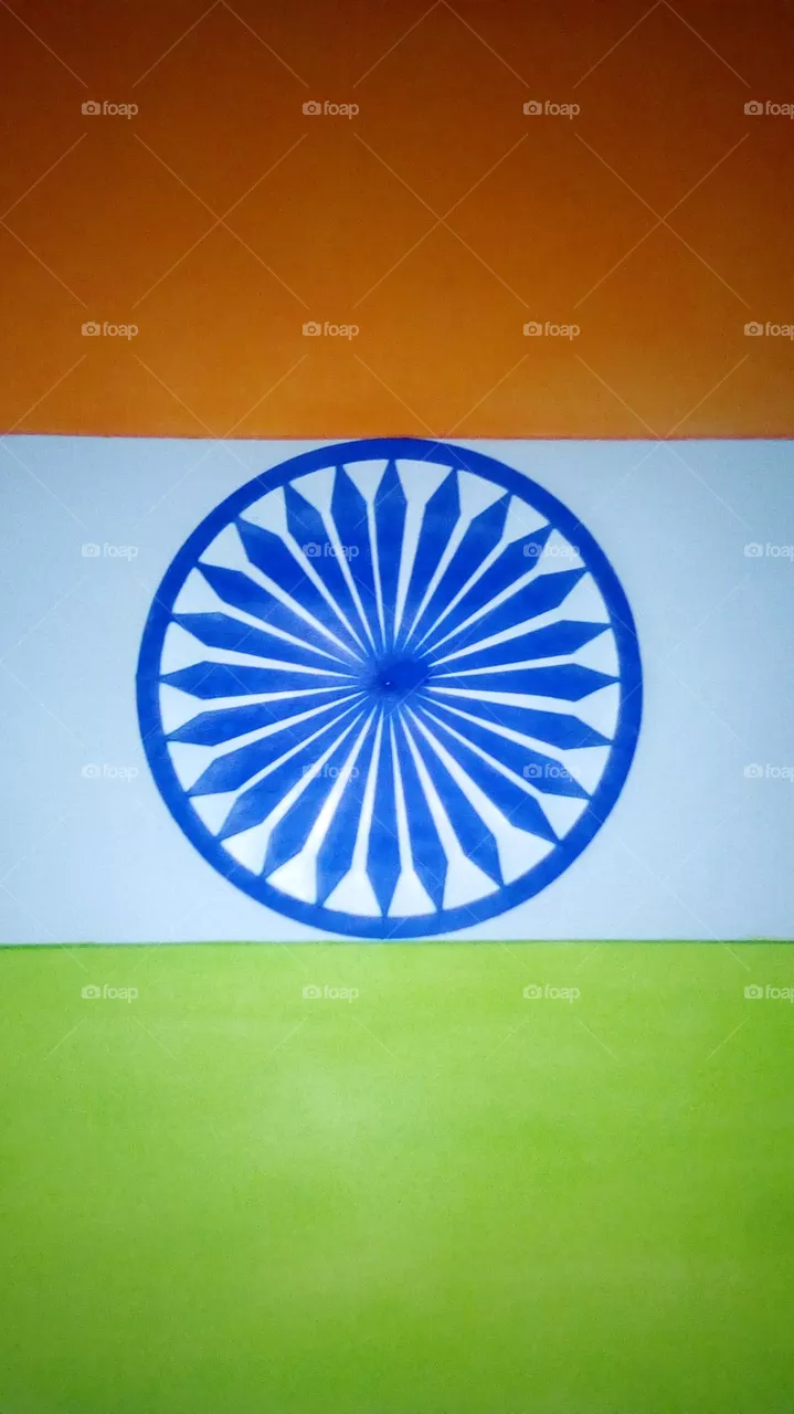 Indian flag tringa. Independent day special.