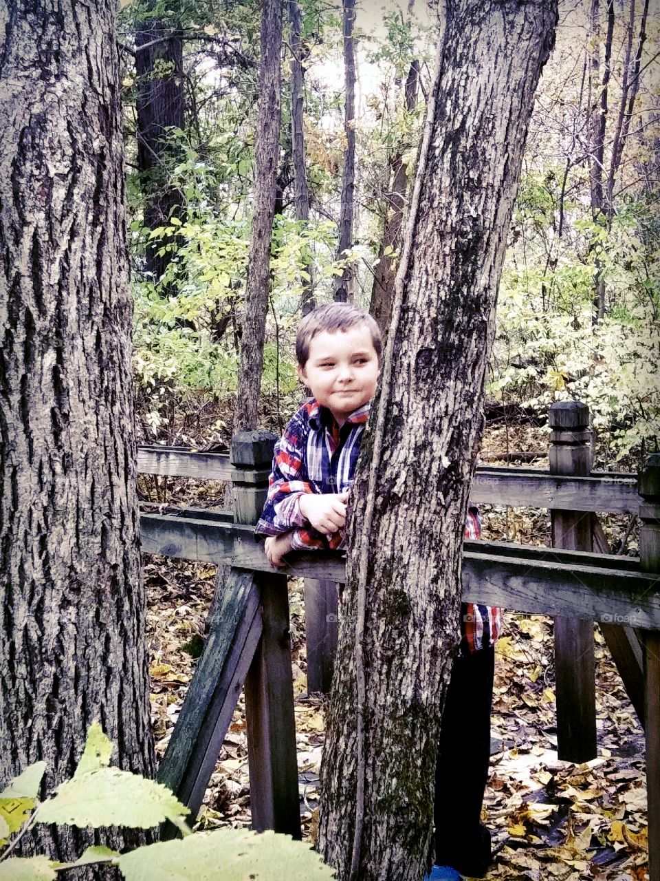 boy on bridge in woods